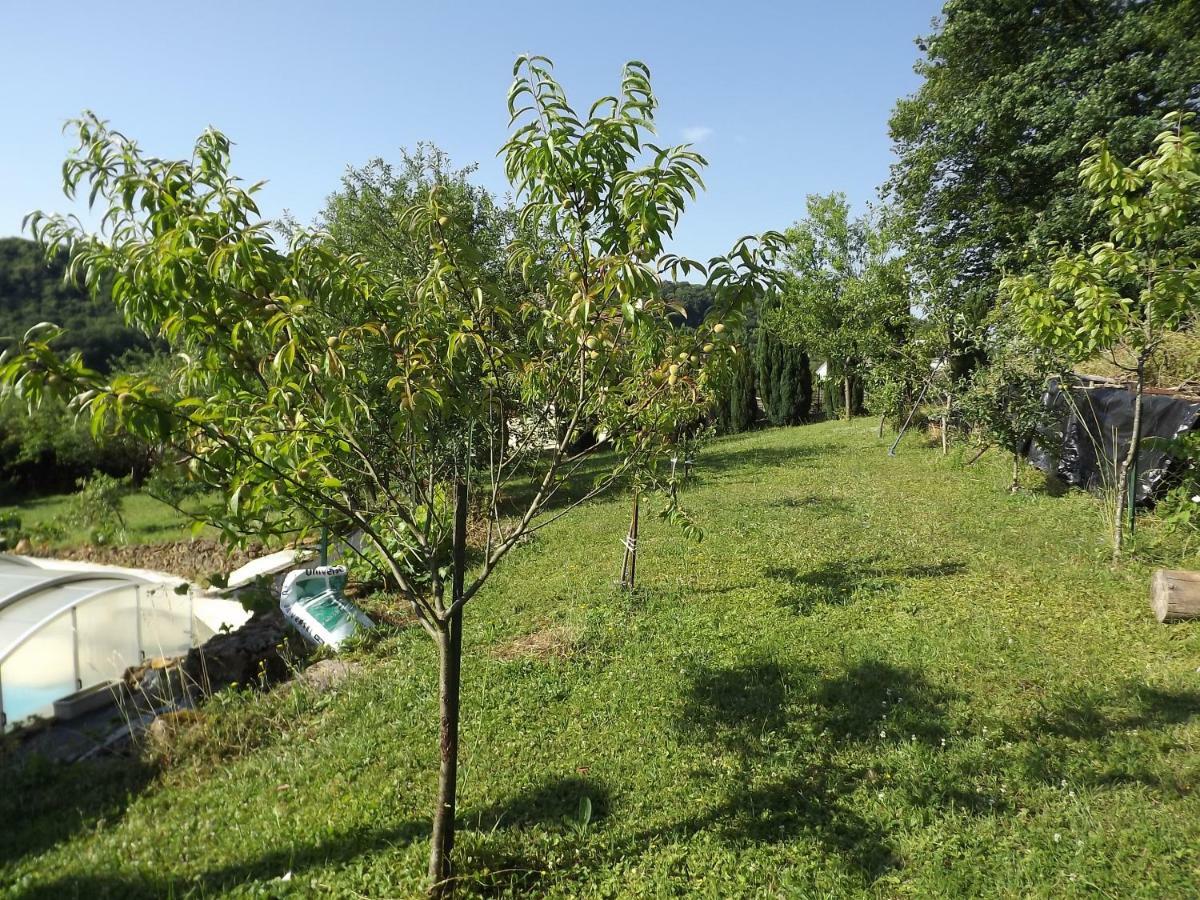 Appartamento Chez Gerard Champigneulles Esterno foto